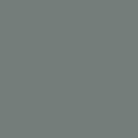 Suede Gray Glossy Swatch Thumbnail