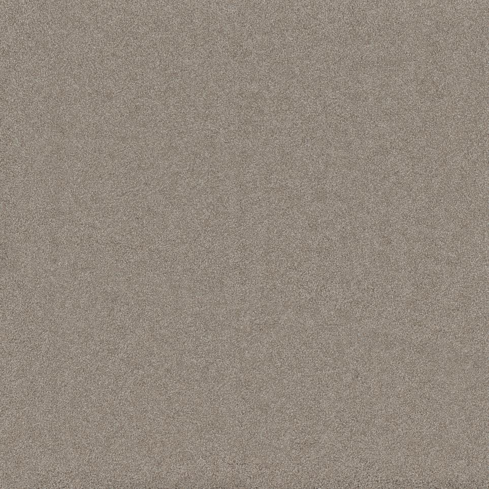 Premise Swatch