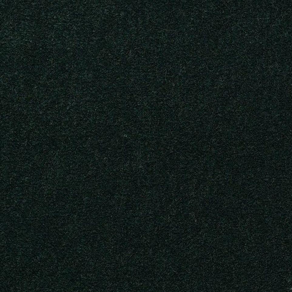 Mistletoe Zoomed Swatch