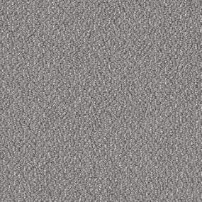 Armor Zoomed Swatch