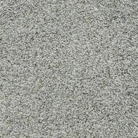 Cypress Zoomed Swatch