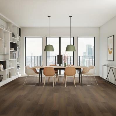 Room Scene
