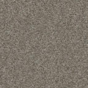 Chestnut Frost Zoomed Swatch