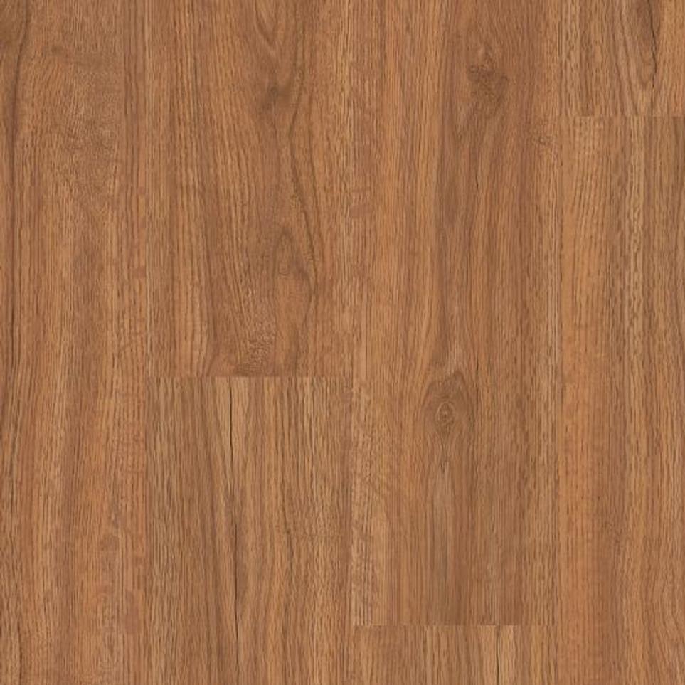 Mountain Oak Zoomed Swatch