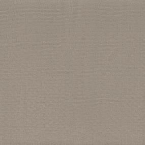 Blissful Beige Swatch Thumbnail