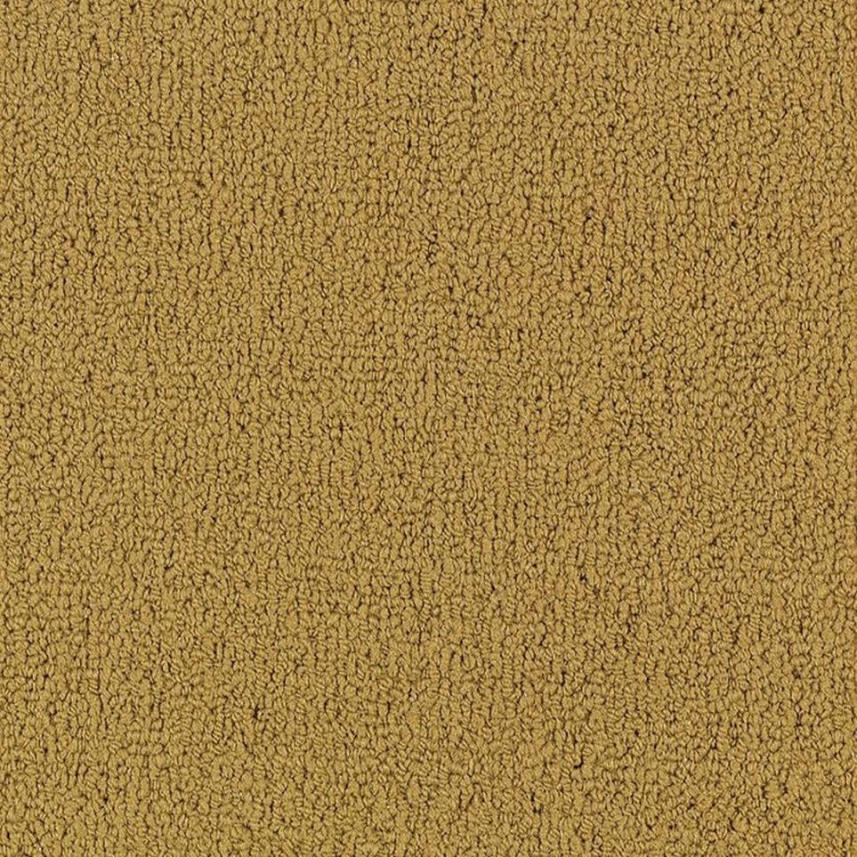 Camel Swatch
