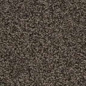 Iron Gate Swatch Thumbnail