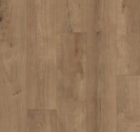Restoration 08 Harmony 08 - Harmony Shiitake Swatch
