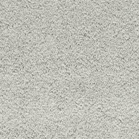 Whimbrel Tonal - Snow Slide Swatch