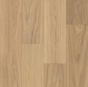 Calais - Sunlit Oak Swatch