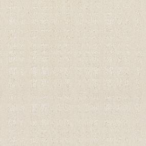 Brazil Nut Zoomed Swatch