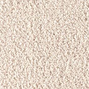 Soft Eloquence - Polished White Swatch