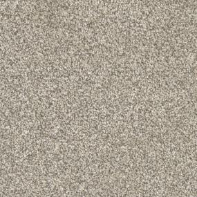 Parade Zoomed Swatch