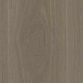 Sandlwood Zoomed Swatch