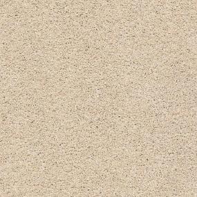 Acadia Park - Delicate Swatch