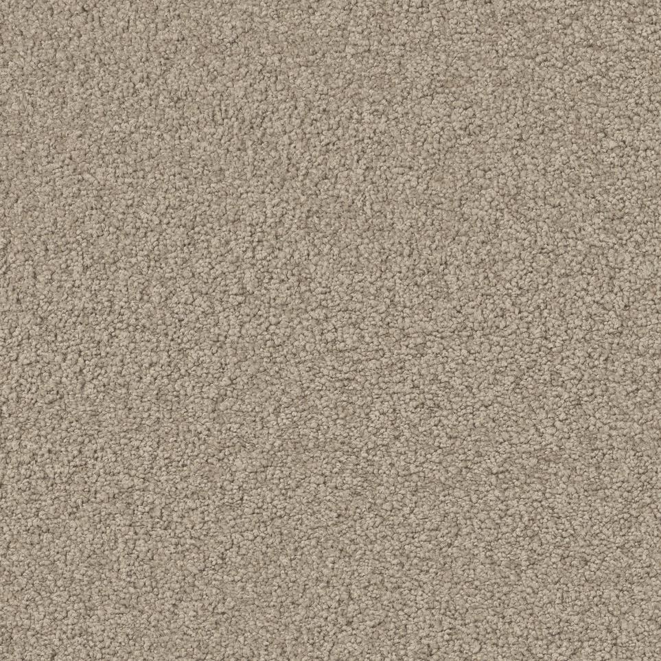 White Pine Zoomed Swatch