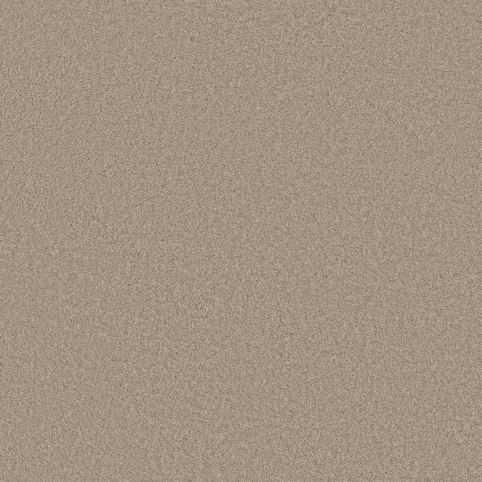 White Pine Swatch