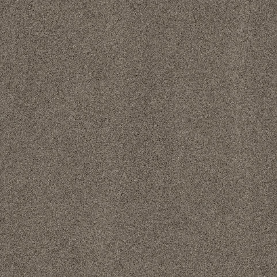 Shadow Swatch