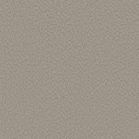 Alluring Canvas - Fossil Path Swatch