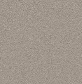 Alluring Canvas - Fossil Path Swatch