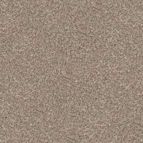 Sheltie Swatch Thumbnail