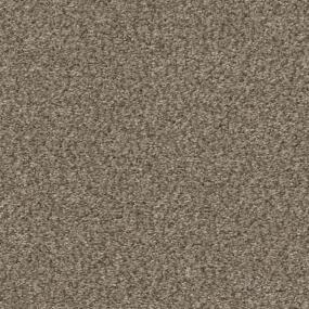 Bran Zoomed Swatch