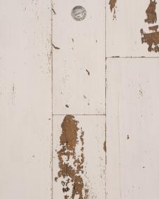 Lighthouse Cove - Weathered Ivory White Swatch