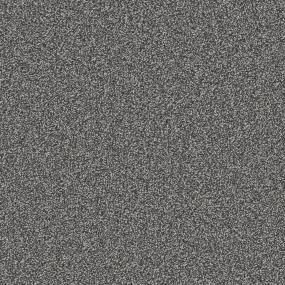 Charcoal Zoomed Swatch