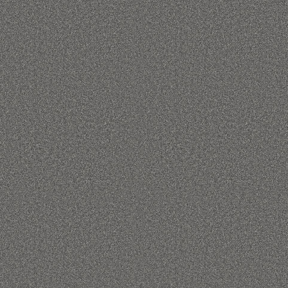 Charcoal Swatch