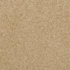 Cozy - Rawhide Swatch