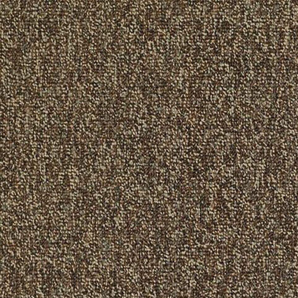 Jamboree Zoomed Swatch