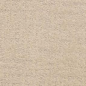 Wild Orchids Swatch Thumbnail