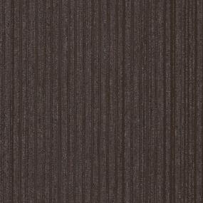 Salutation TL - Accolade Swatch