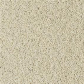 Cotton Club - Porcini Swatch