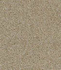 Cce 225 - Outback Swatch