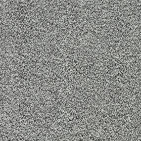 Whimbrel Tonal - Cathedral Swatch