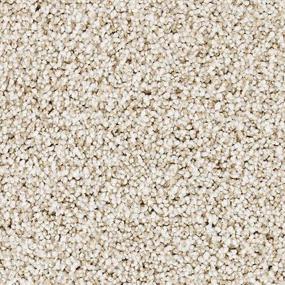 Wild Silk Zoomed Swatch
