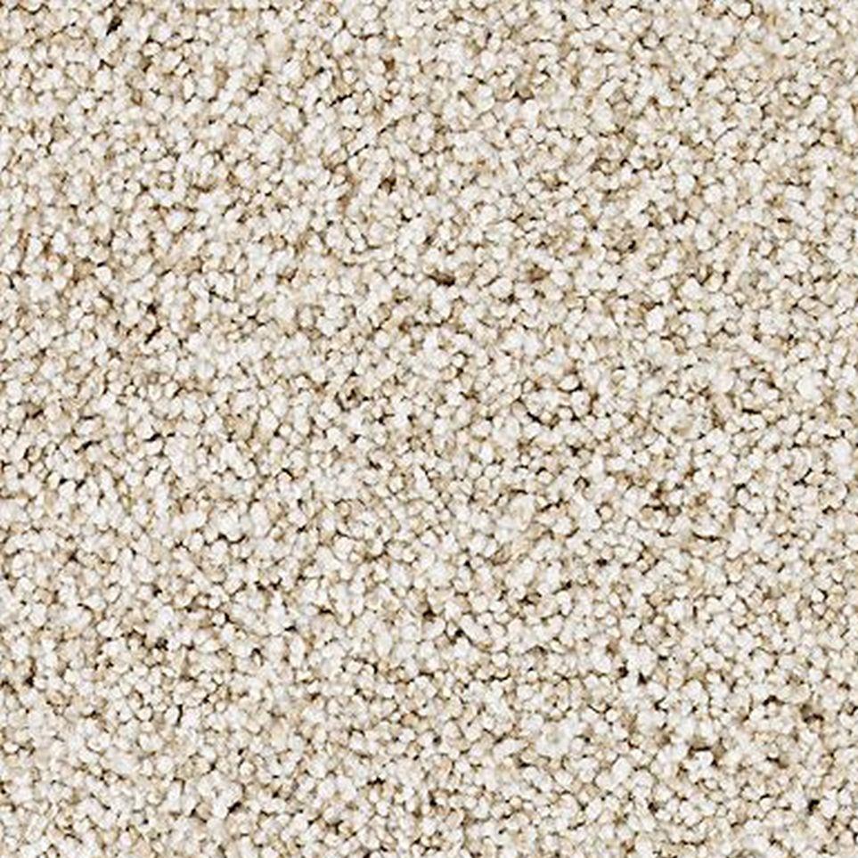 Wild Silk Zoomed Swatch