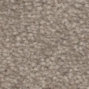 Perfect Peace - Contessa Swatch