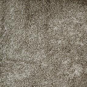 Charcoal Zoomed Swatch