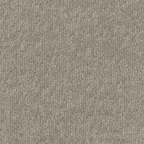 Sahara