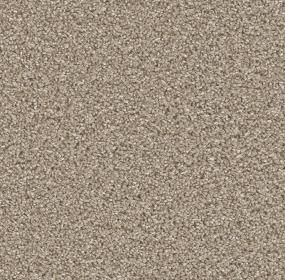Tumbleweed Swatch Thumbnail
