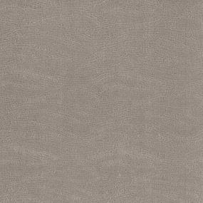 Sand Dollar Swatch Thumbnail