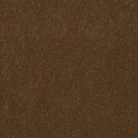 Acorn Zoomed Swatch