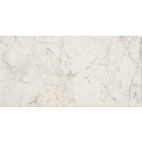 Mythique Marble Rectangle 12X24 Mt - Altissimo Matte Swatch