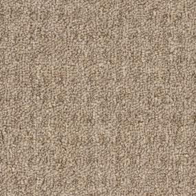 Warm Taupe Zoomed Swatch