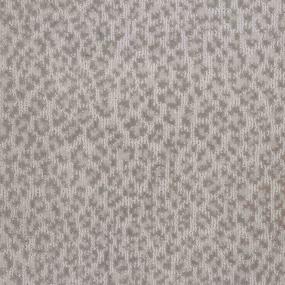 Adventure - Oyster Swatch