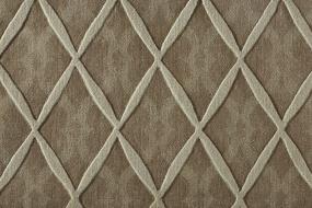 Coral Way - Taupe Swatch