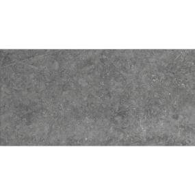 Light Grey Matte Swatch