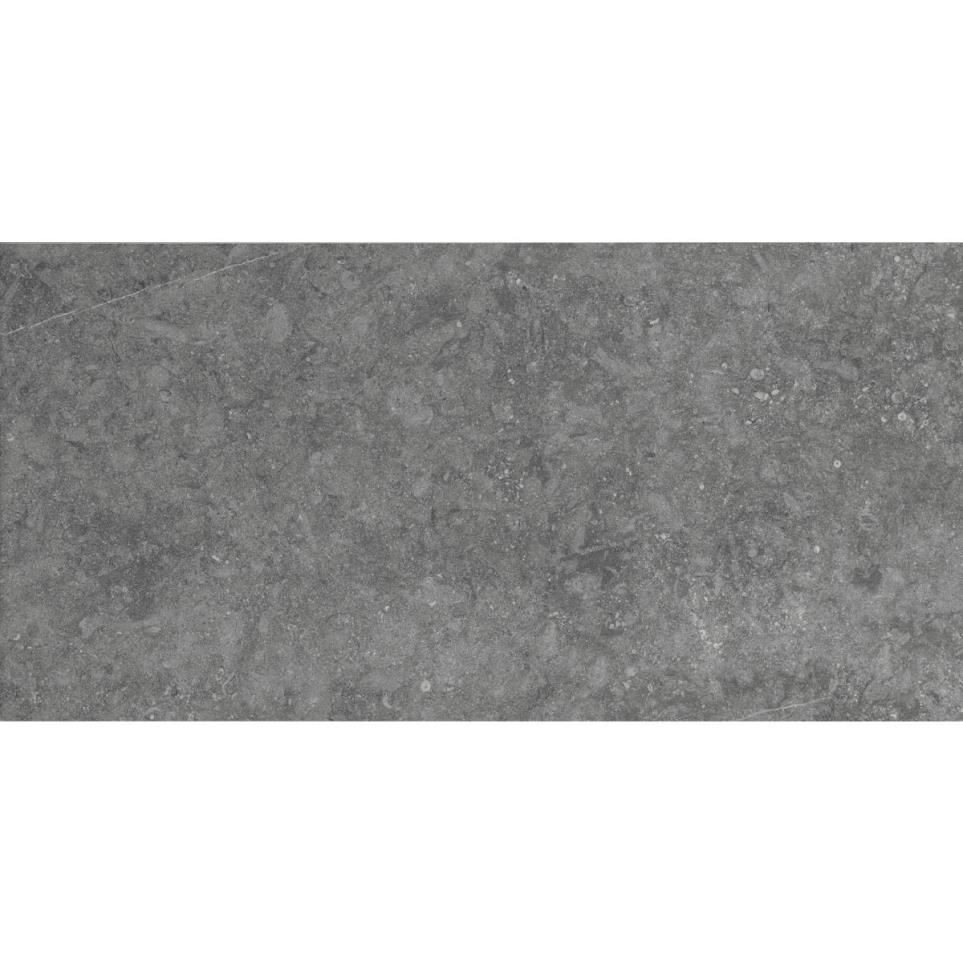 Diplomacy Rectangle 12X24 Mt by Daltile - Light Grey Matte